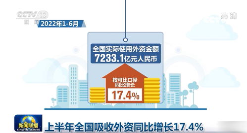上半年全國吸收外資同比增長17.4%，信息技術(shù)咨詢服務(wù)成亮點(diǎn)